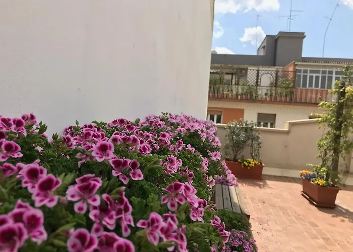 居留维赛 3* 巴里